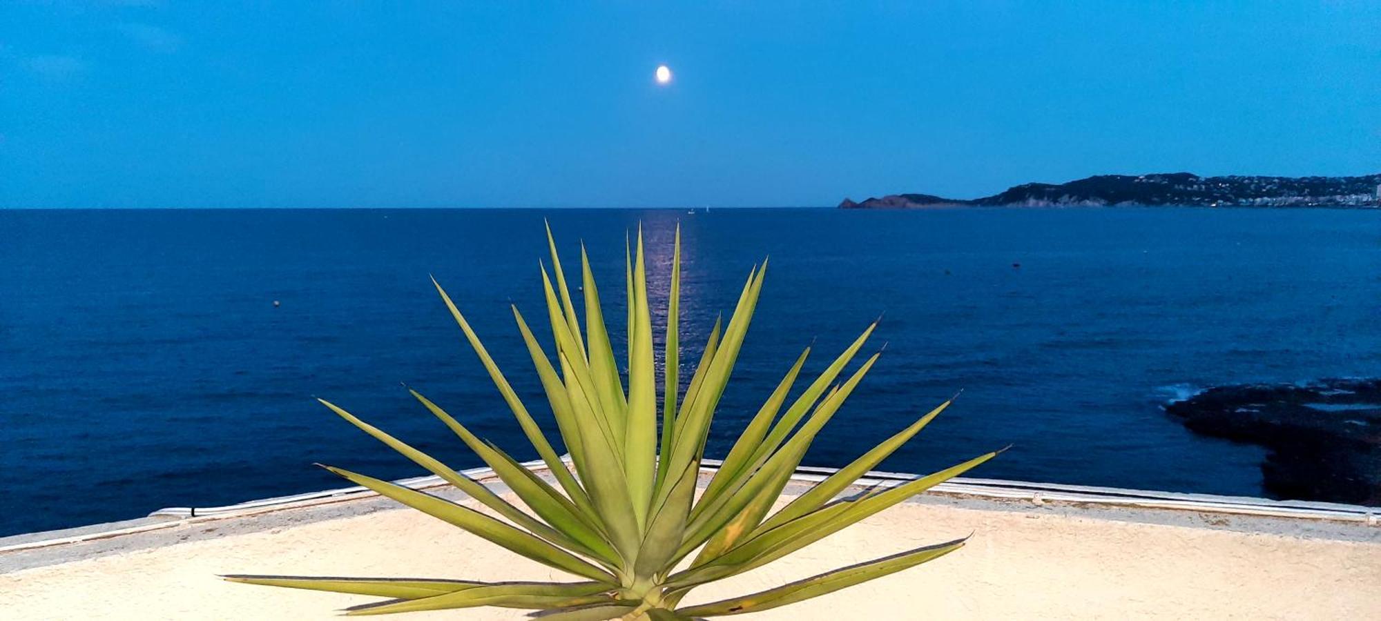 La Casa Del Port Διαμέρισμα Γιαβέα Εξωτερικό φωτογραφία
